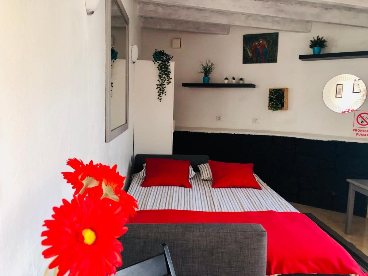 Casa Oliver Apartment *