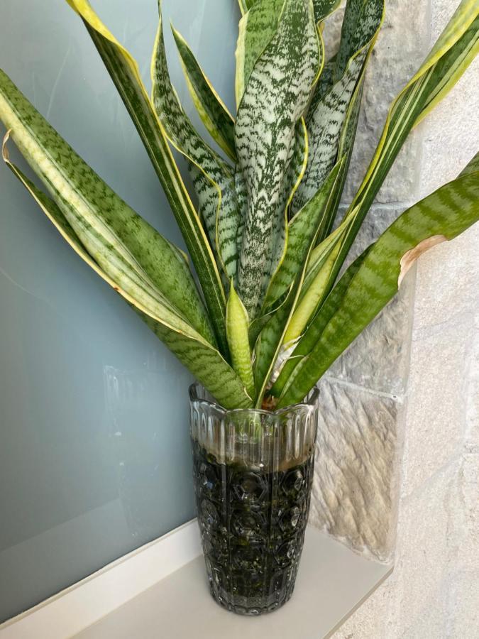 Apartamento La Terraza *