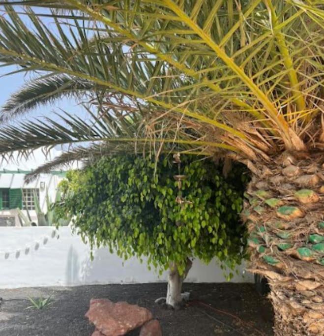 Studio In Playa Blanca (Lanzarote)
