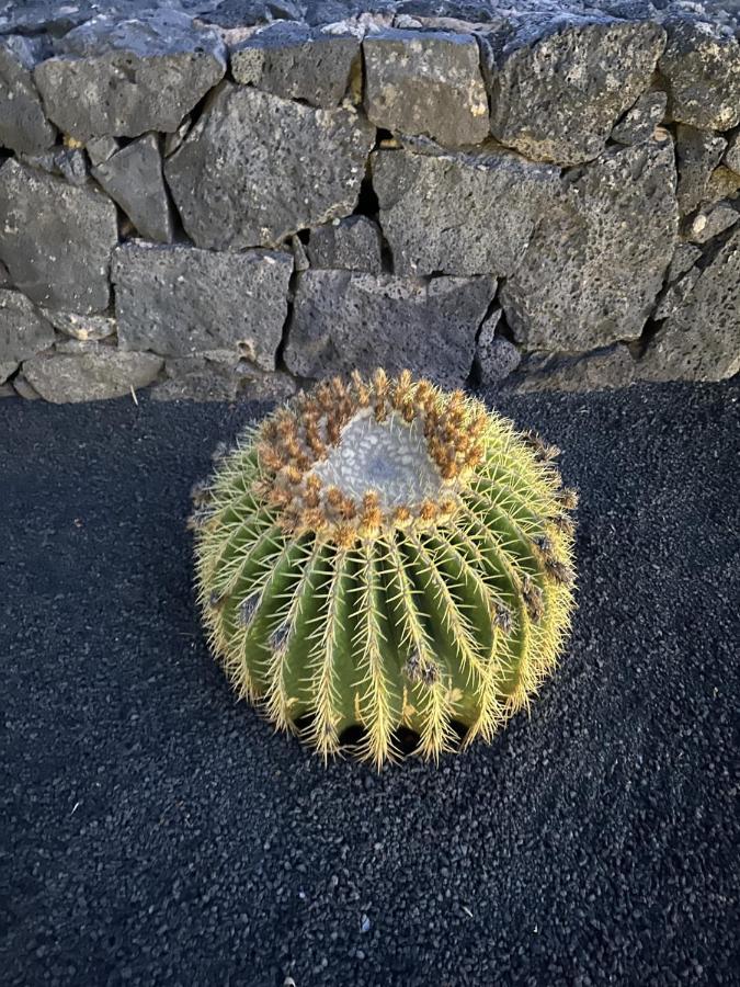 Pousada Patos *