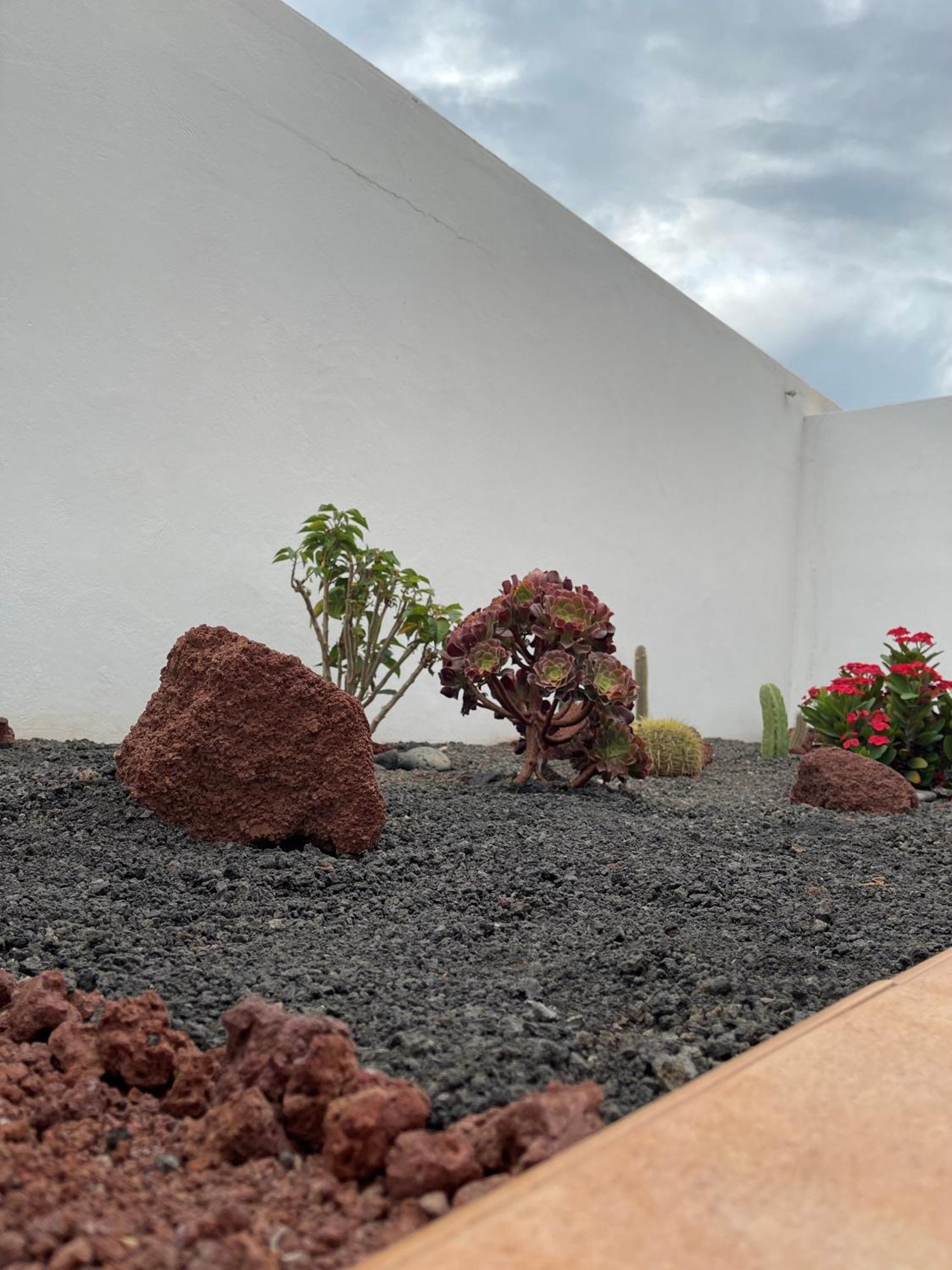 La Pituca Playa Blanca (Lanzarote)