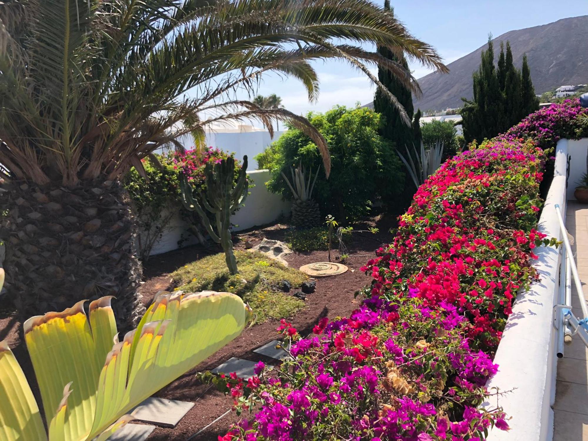 Coco - Play Blanca - Lanzarote Villa *