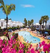 Flamingo * Playa Blanca (Lanzarote)