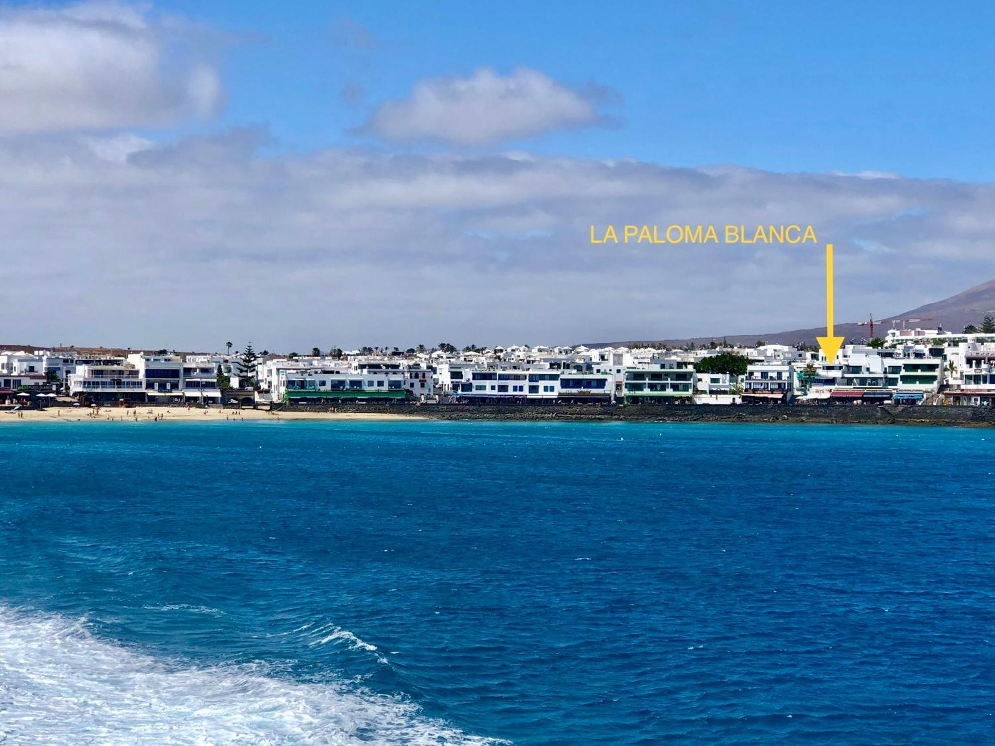 La Paloma Blanca The White Dove Playa Blanca (Lanzarote)
