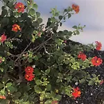 Vistas Del Mar