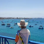 Erizo De Mar