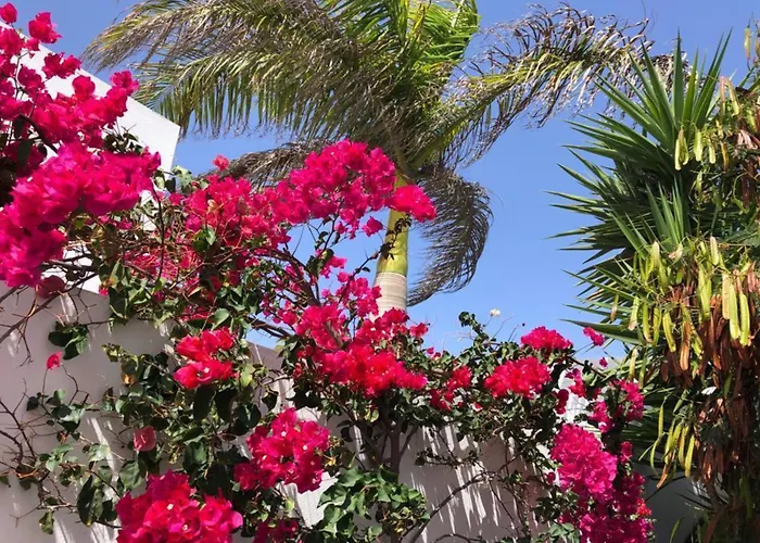 Vistas Del Mar
