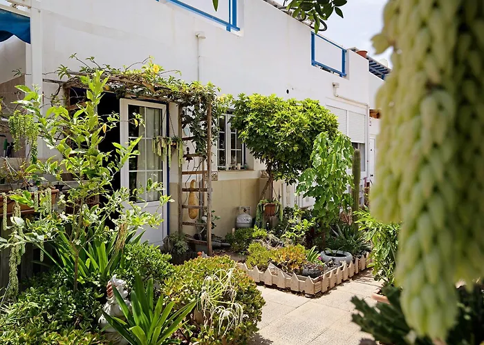 Casa Tuna