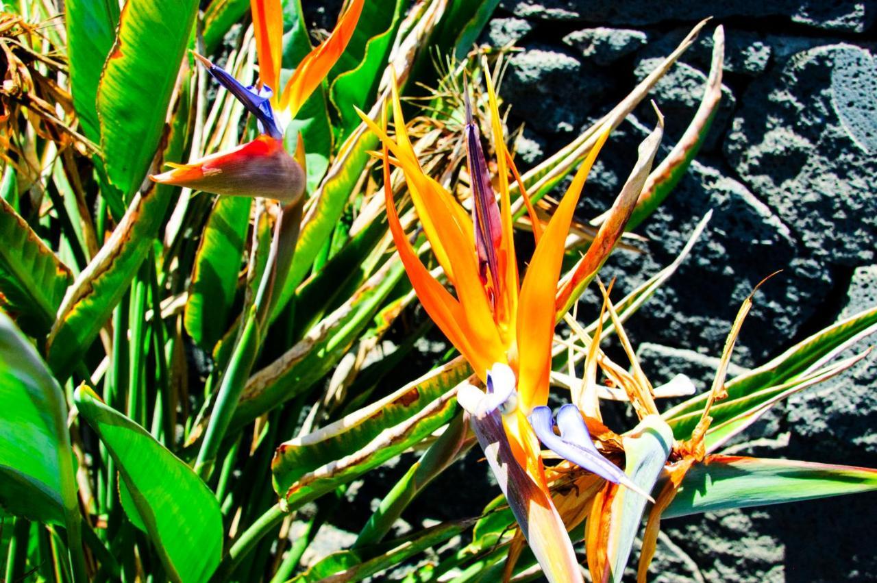 Isla De Lobos Oceanview * Playa Blanca (Lanzarote)