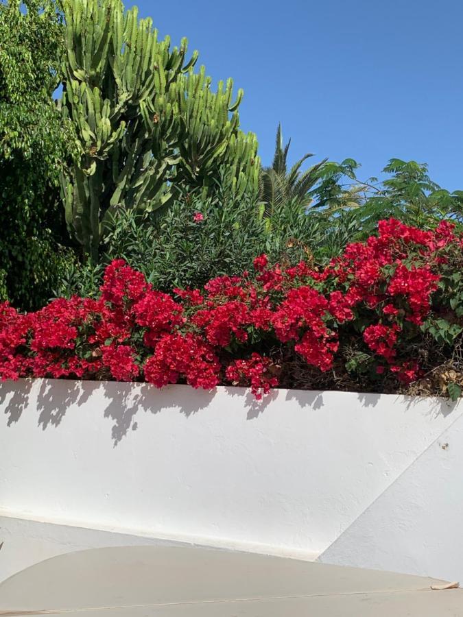 Lovely Nico Playa Blanca, Hot Tub, Communal Pool Villa Playa Blanca (Lanzarote)
