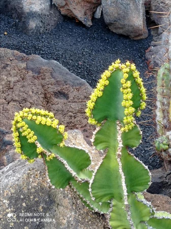 Pousada Splendid Casa Papagayo, Heated Pool, Roofterrace With Views And Wifi Playa Blanca (Lanzarote)
