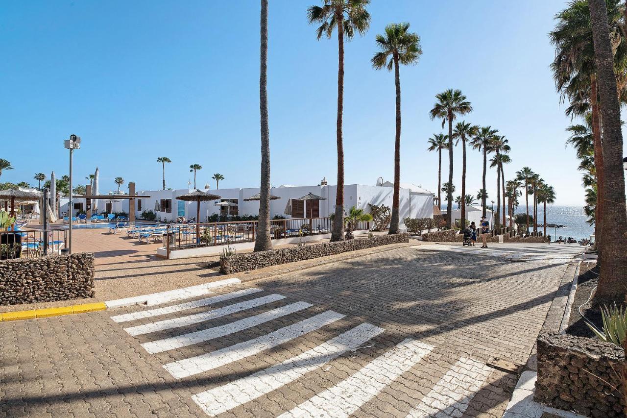 Flamingo Playa Blanca (Lanzarote)