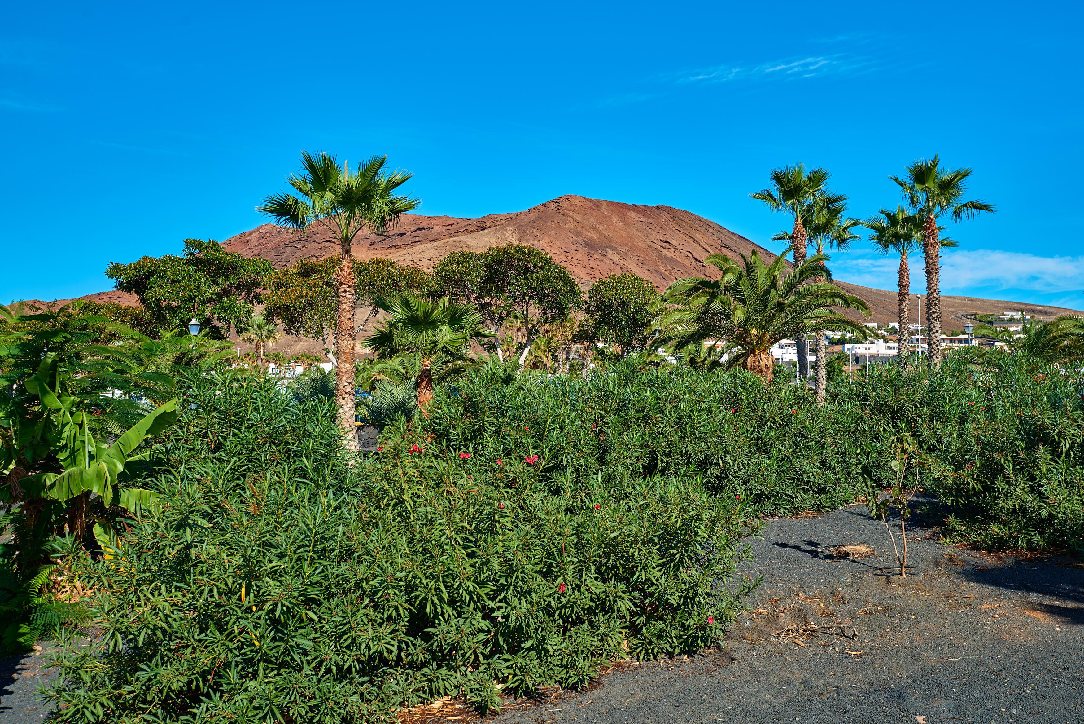 Hipotels Natura Palace Adults Only Hotel