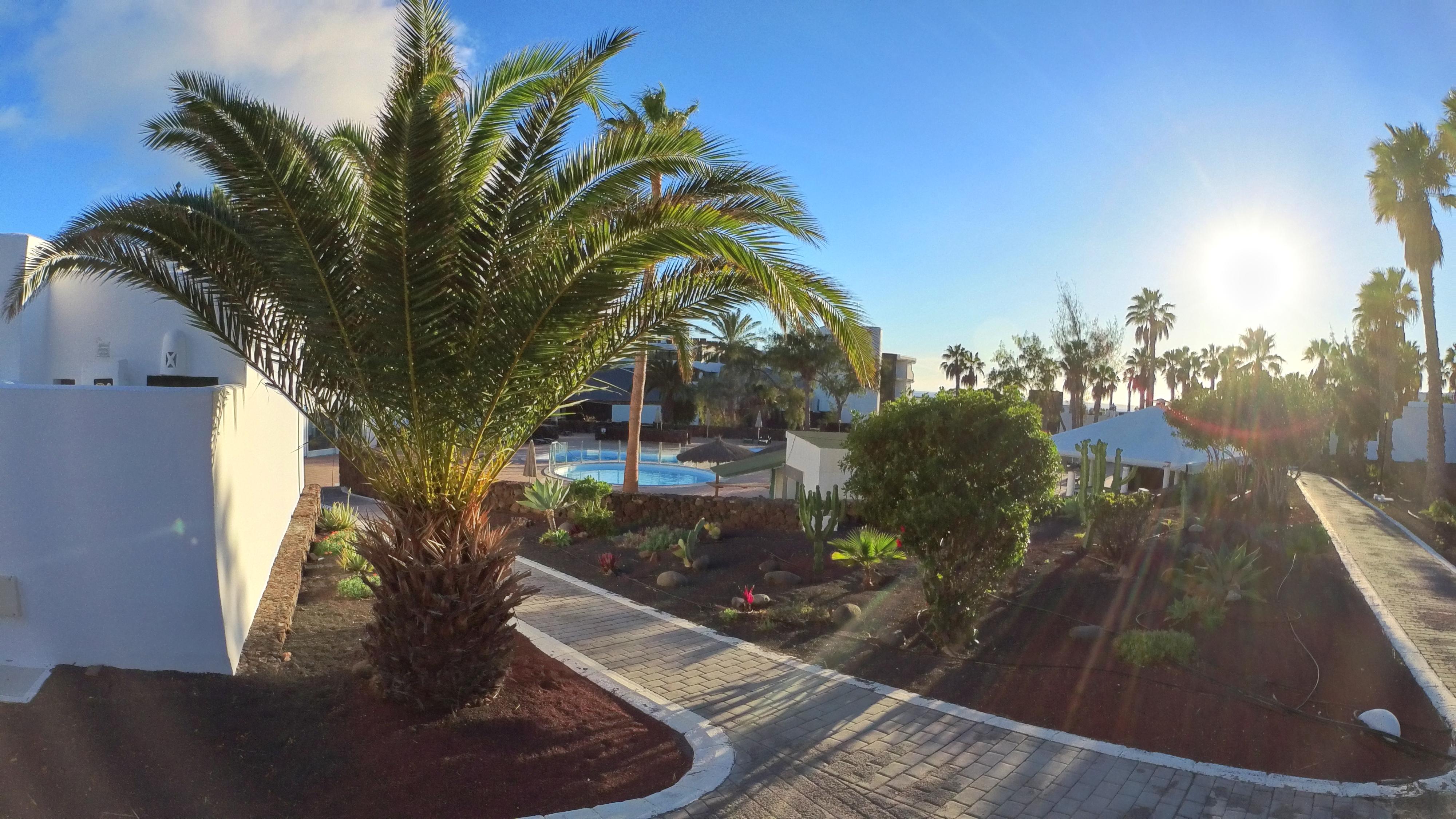 Apartamento Palmeras Garden