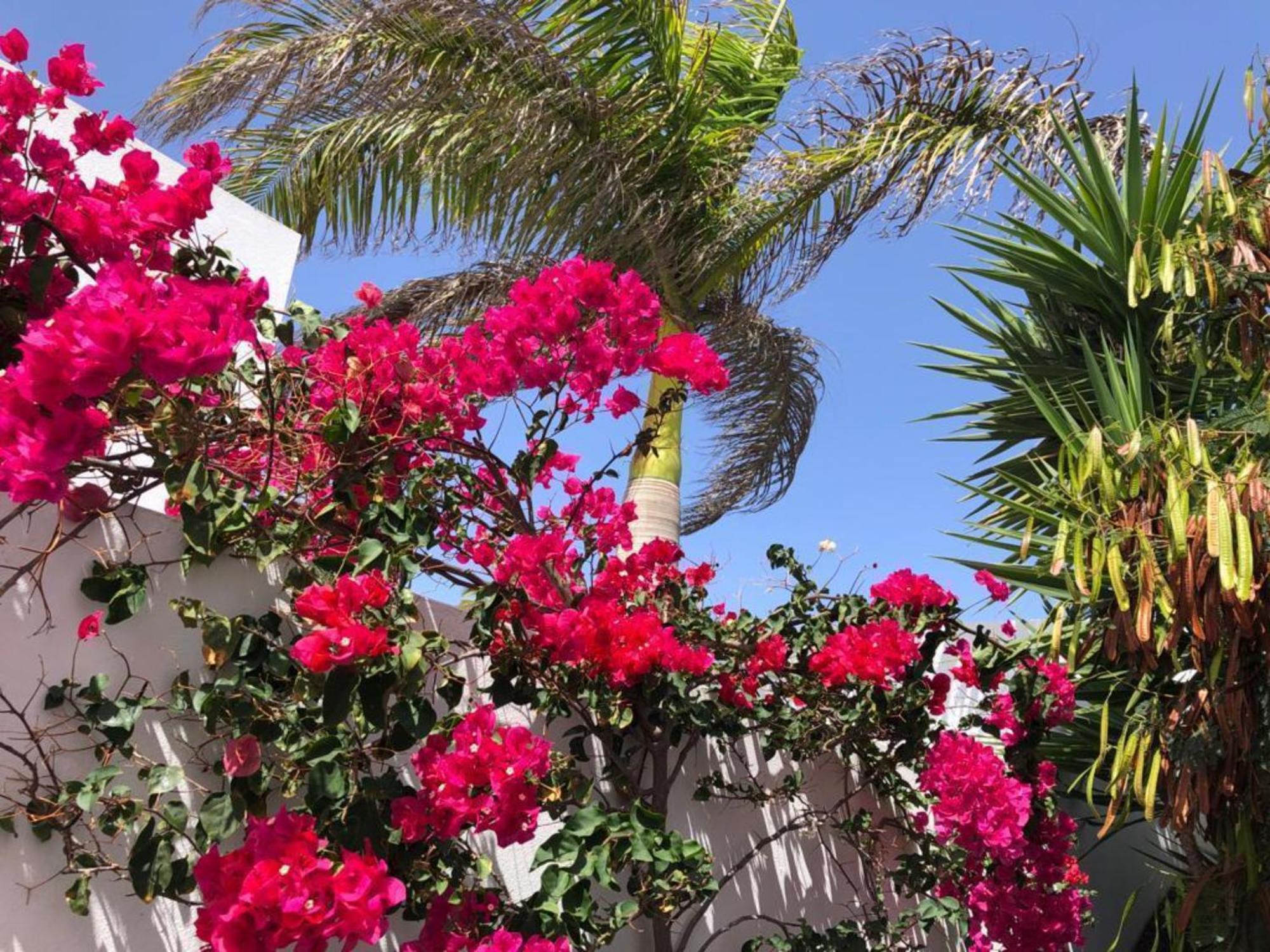 Vistas Del Mar