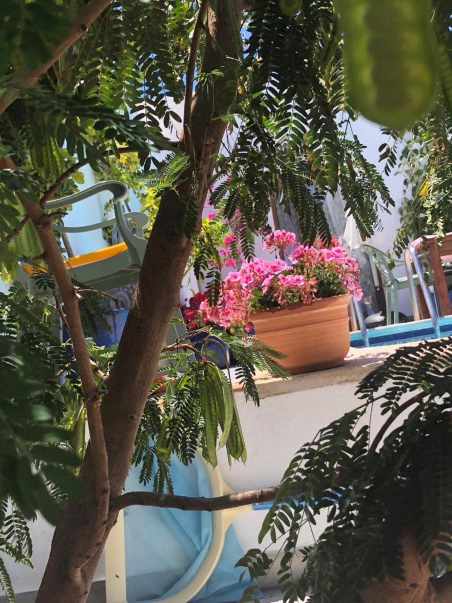 Vistas Del Mar Villa *