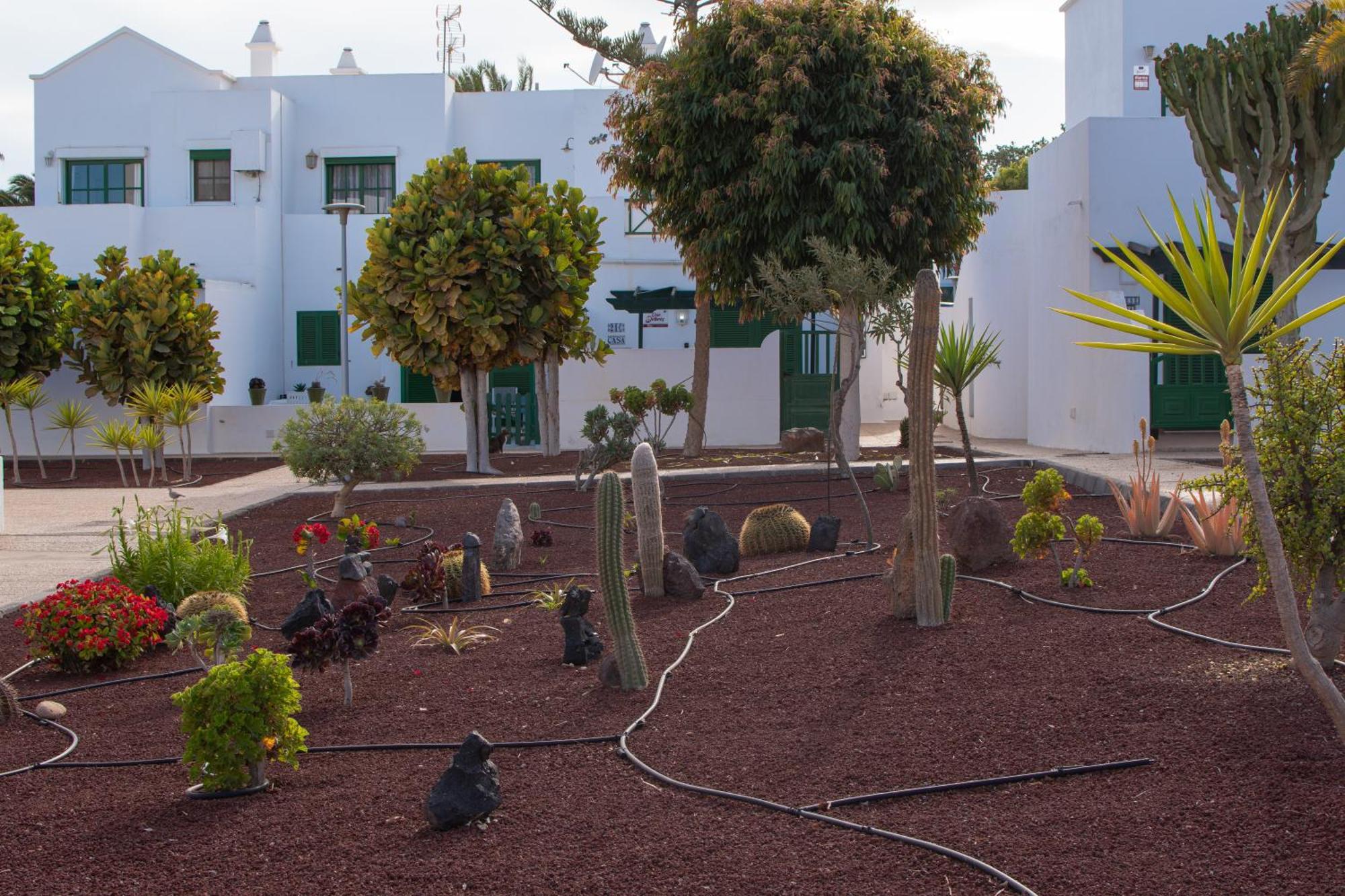 Apartment Casa Paz - Cozy 2 Bedroom Close To Dorada *