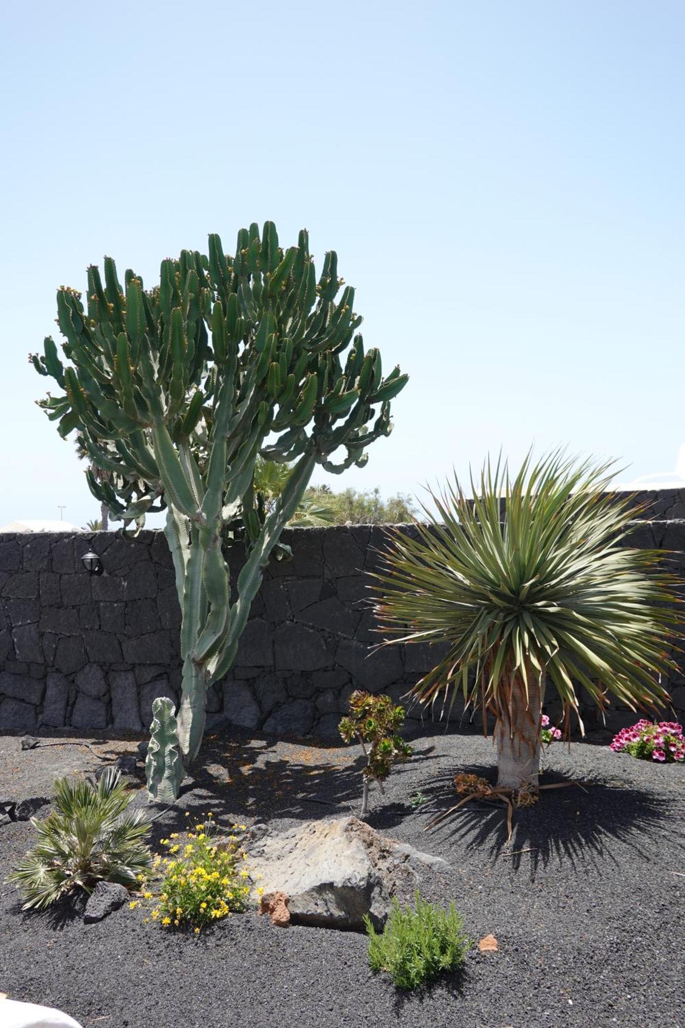 Villa Sbh Lydia Playa Blanca Lanzarote Playa Blanca (Lanzarote)