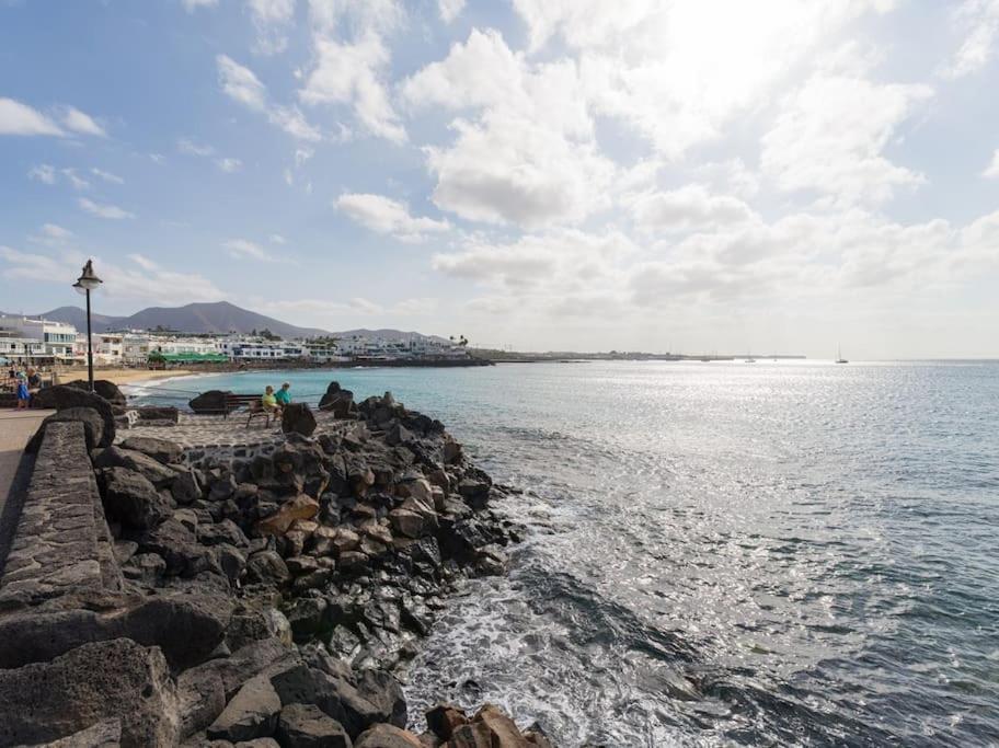 Erizos Playa Blanca (Lanzarote)