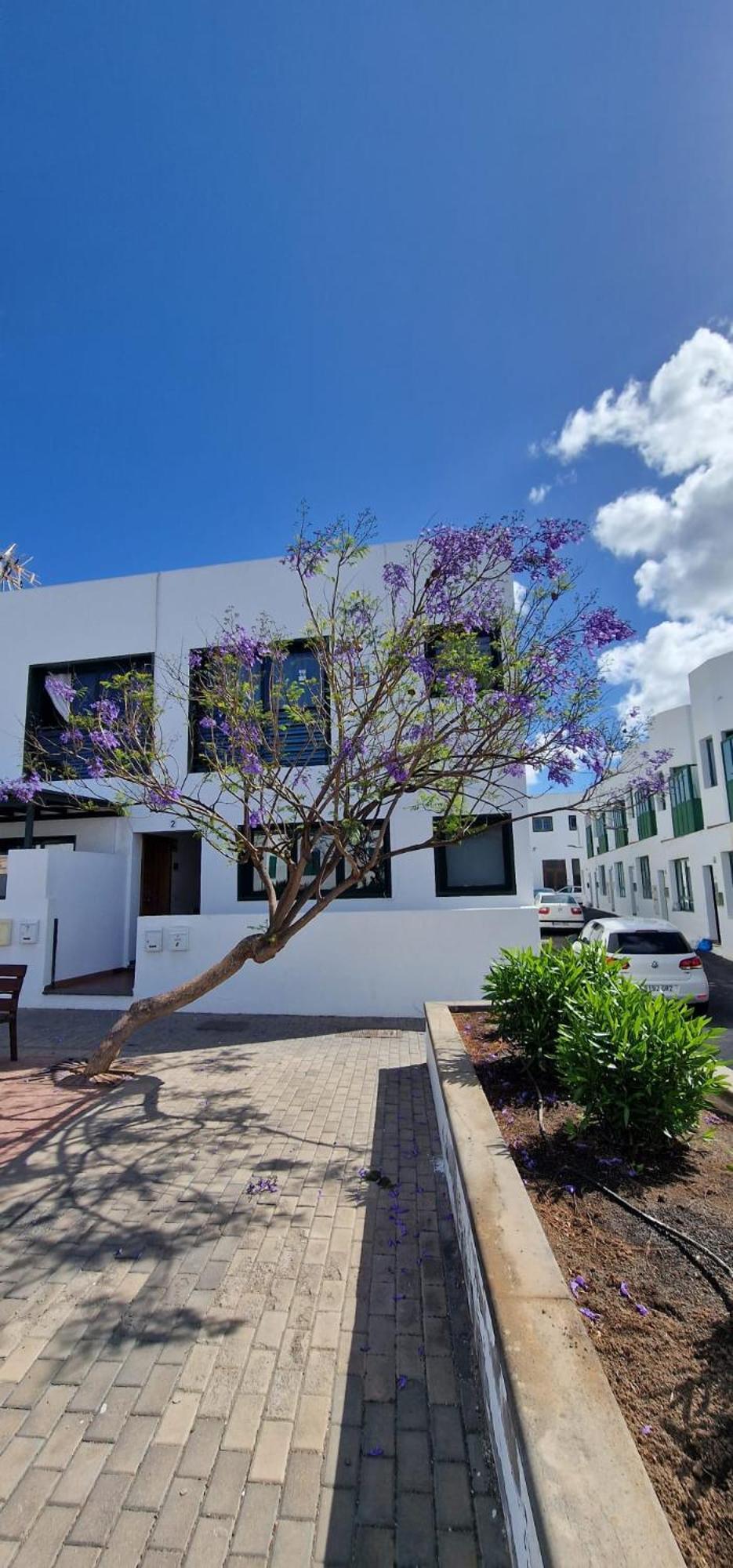 Margarita Apartment