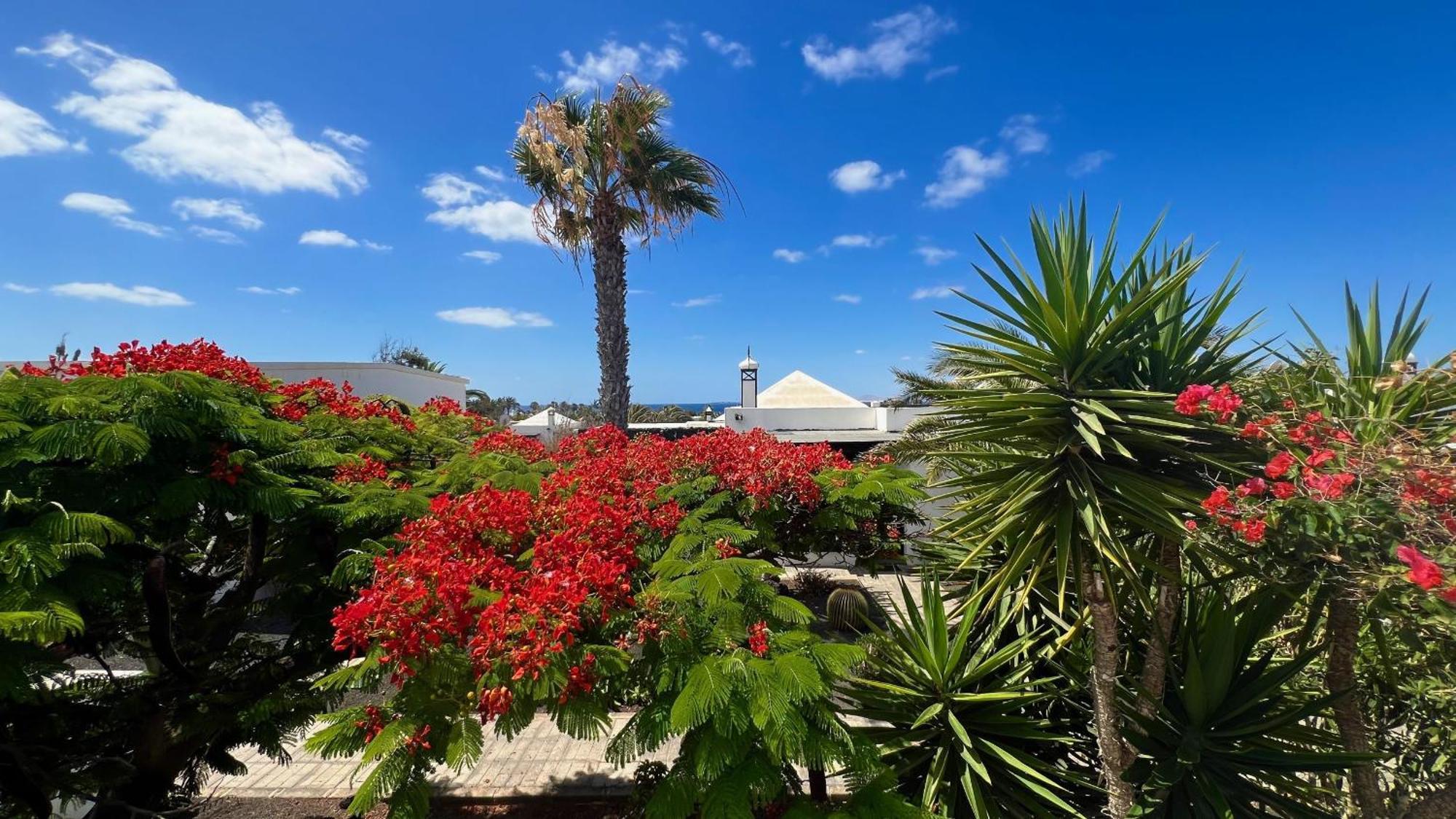 Casa Casablanca Carlos Park, Tranquil Yet Area 15 Minutes Walk To Town Centre Playa Blanca (Lanzarote)