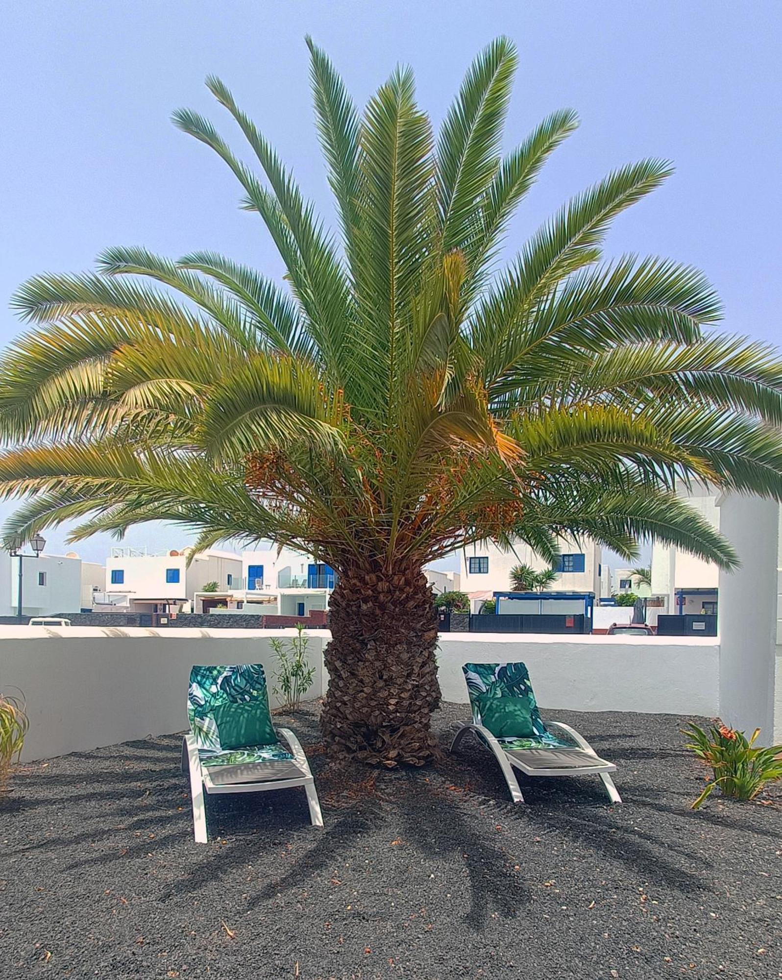 Lovely Casa Felicidad, Swimming Pool, Wifi X Private Garden * Playa Blanca (Lanzarote)