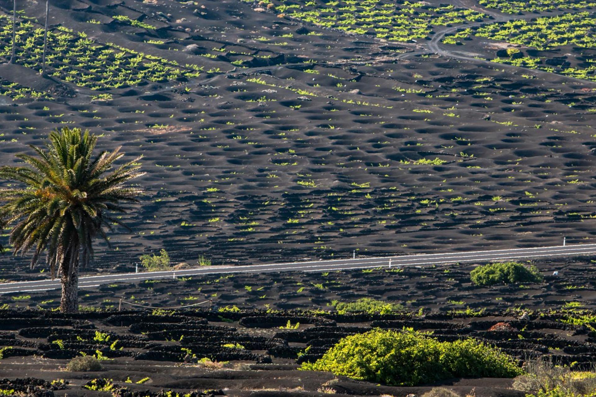La Casita Del Puerto Playa Blanca (Lanzarote)