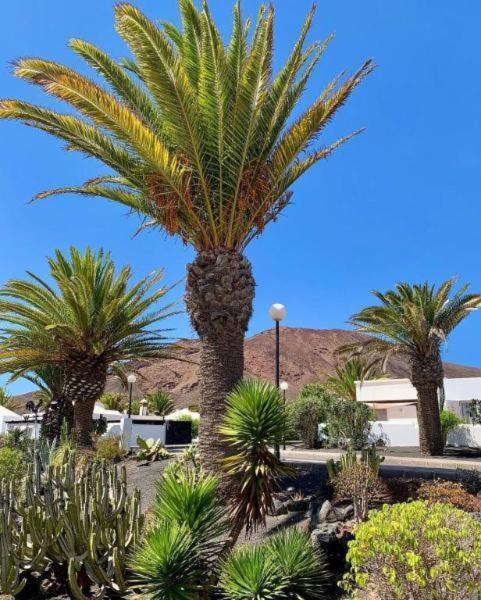 Holiday home Casa Calima Lanzarote *