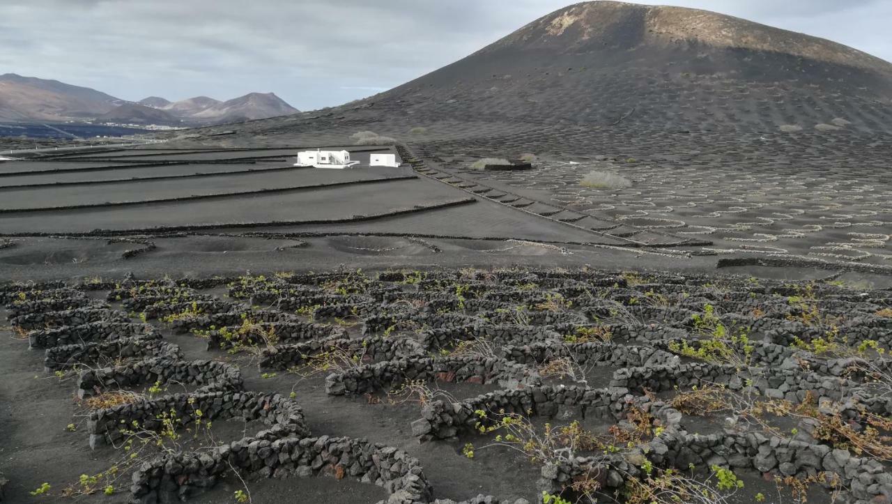 Papaya Playa Blanca (Lanzarote)