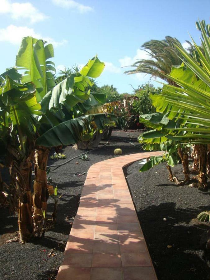 Las Palmeras Holiday home *