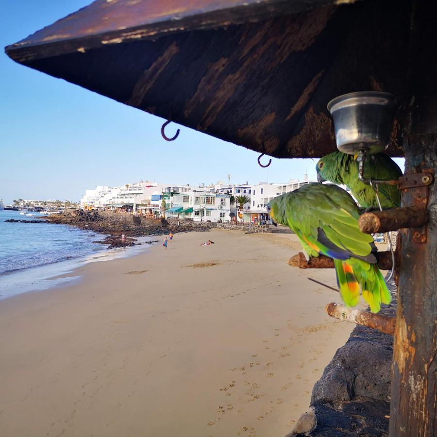 Apartamento Mares De Lava - Playa Blanca *