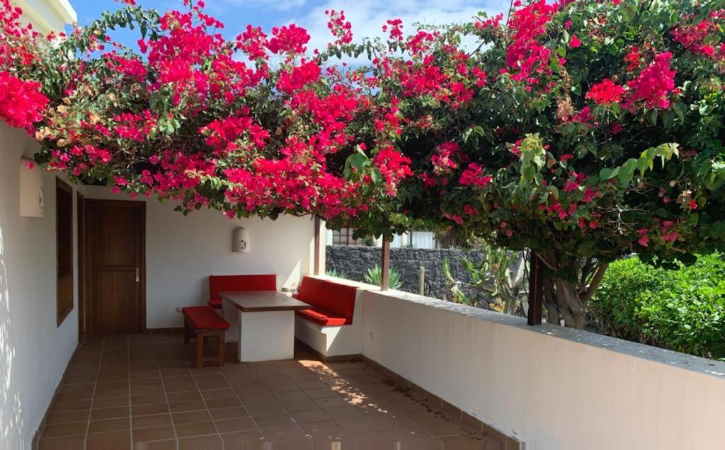 Villa Aguamarina 52 *