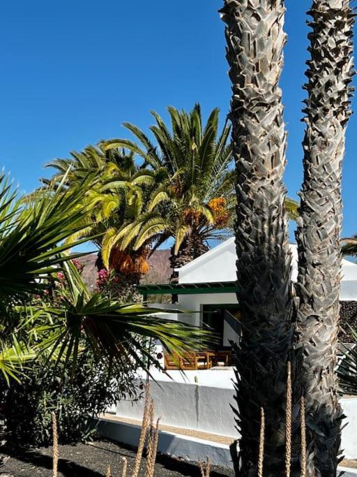 Apartment Lovely Casita Jade
