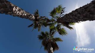 Palmeras Garden