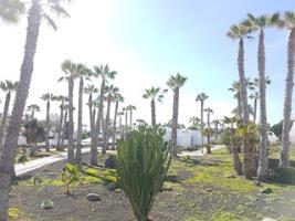 Palmeras Garden Playa Blanca (Lanzarote)